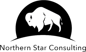 northern star consulting logo