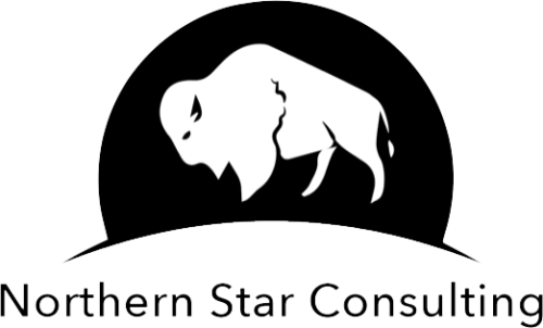 northern star consulting logo