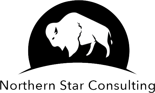 northern star consulting logo