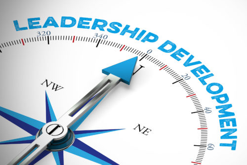 Northern Star Consulting Leadership Development Classes