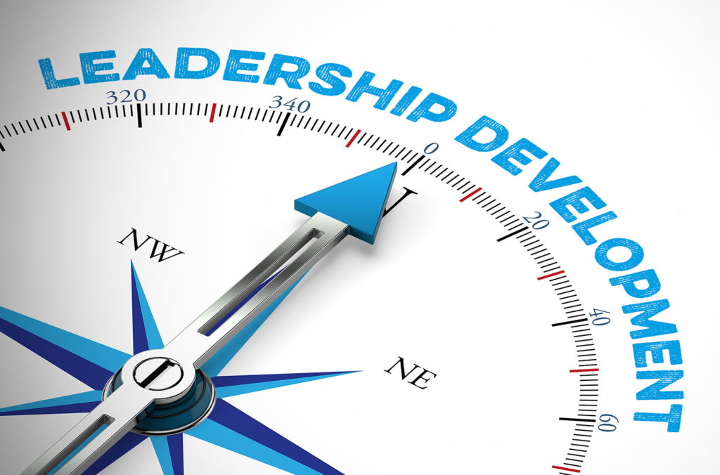Northern Star Consulting Leadership Development Classes